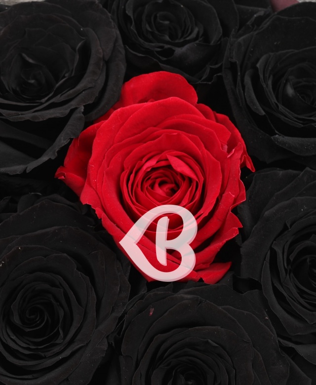 Imaginea produsului Asul De Pică