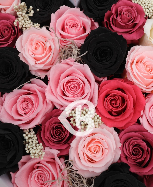 Imaginea produsului Sentimentele Din Inima Mea