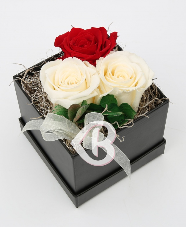 Imaginea produsului Rosu Si Alb Criogenati