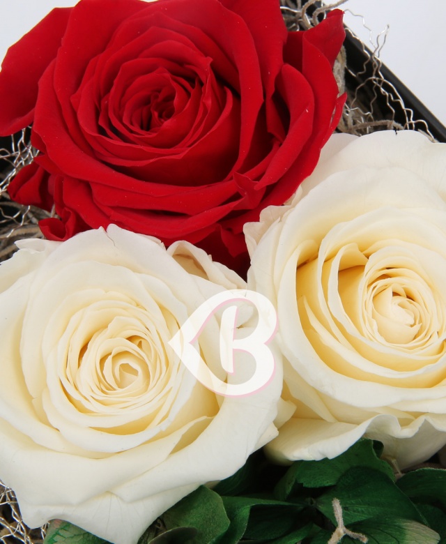 Imaginea produsului Rosu Si Alb Criogenati