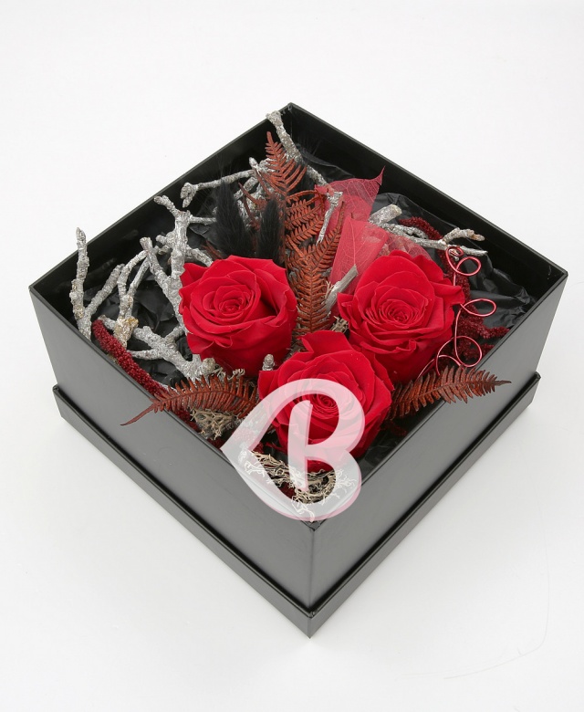 Imaginea produsului Vibrații Artistice