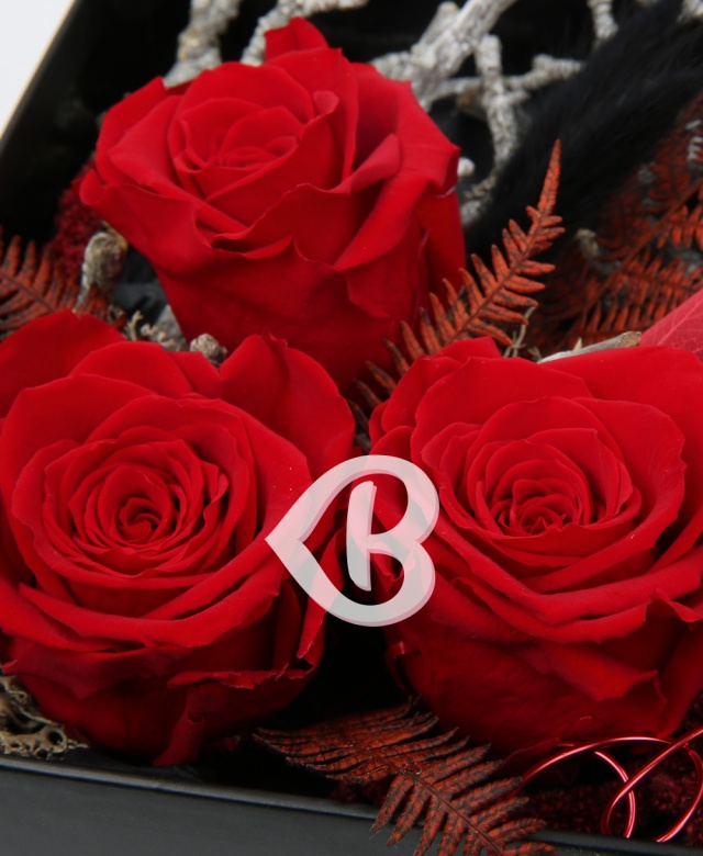 Imaginea produsului Vibrații Artistice