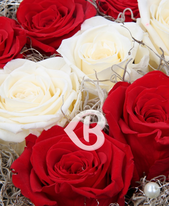 Imaginea produsului Cutie Mix 9 Trandafiri Criogenați