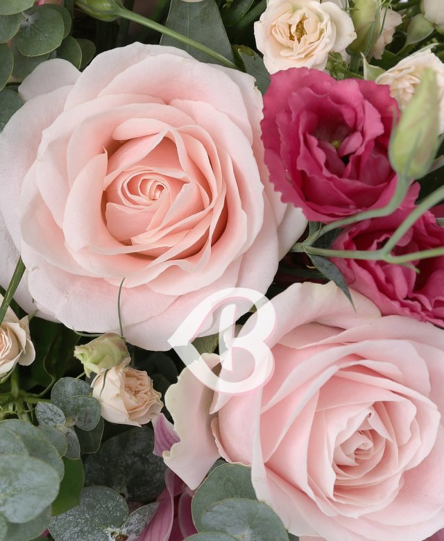 La vie en rose