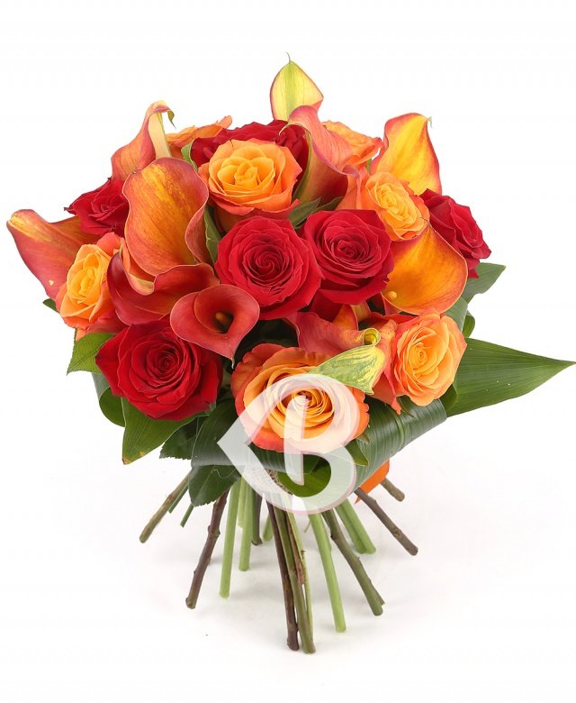 Imaginea produsului Sclipire Eleganță